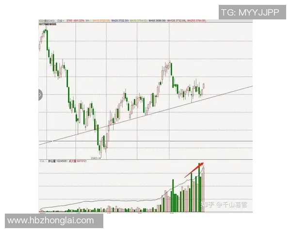 杭州与北京排球队赛后技术分析与战术复盘探讨
